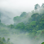 writing prompt on fog