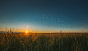 writing prompt for summer